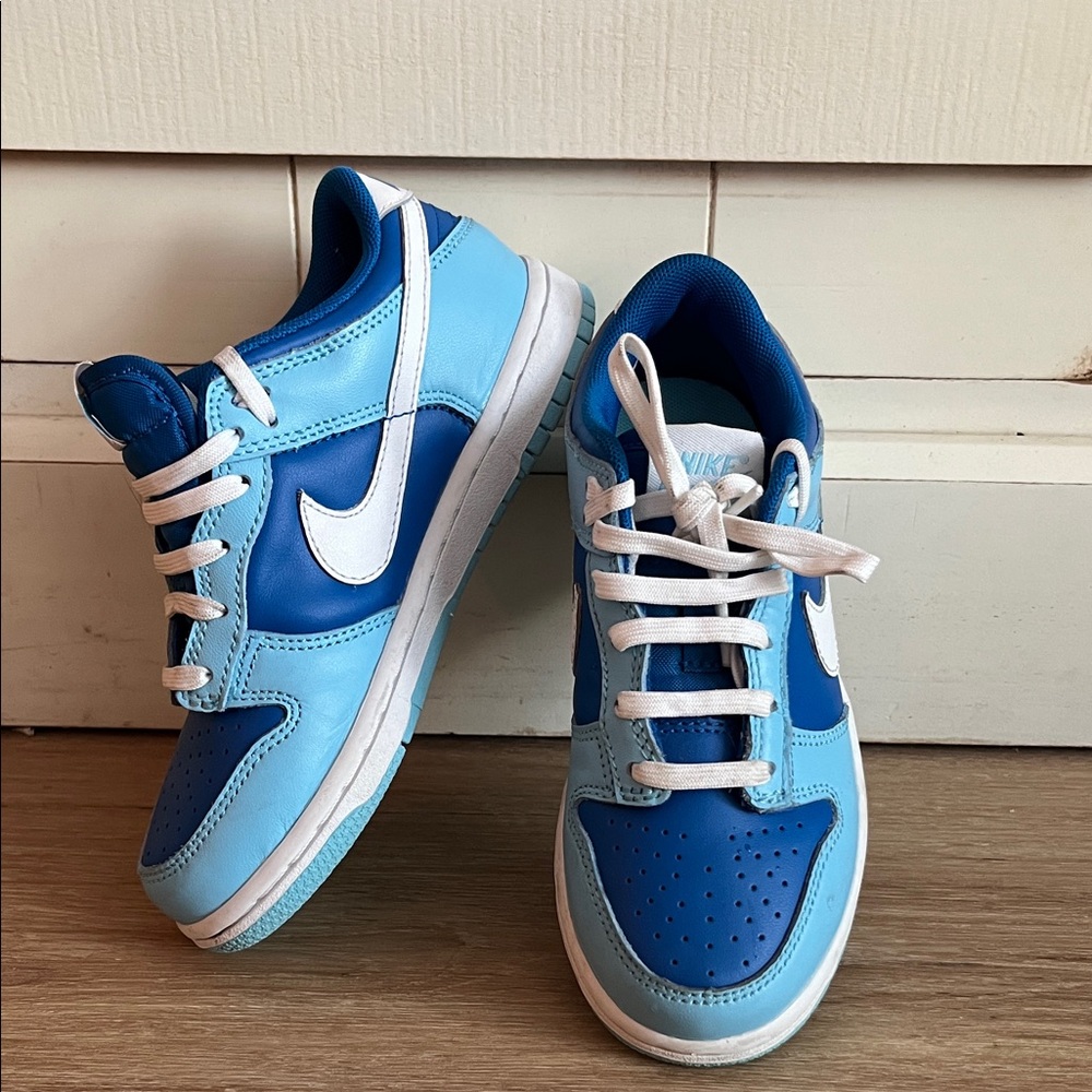 Nike Dunk Low Kids
